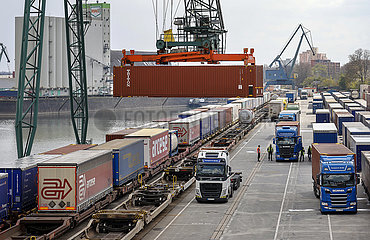 Hafen Koeln Niehl  Container am Containerterminal  Nordrhein-Westfalen  Deutschland  Europa