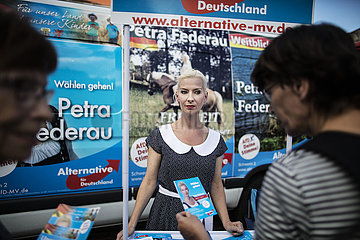 AfD's Hoecke and Holm do Schwerin