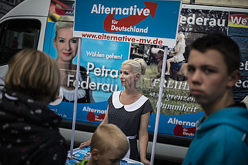 AfD's Hoecke and Holm do Schwerin