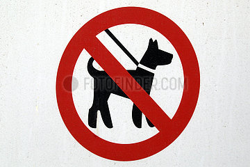 Dubai  Vereinigte Arabische Emirate  Hinweisschild: Hunde verboten