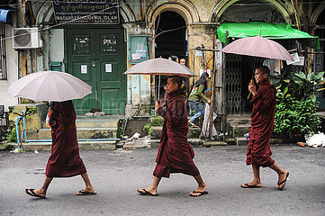 Yangon  Myanmar  Eine Gruppe buddhistischer Moenche mit Schirmen zieht durch die Strassen