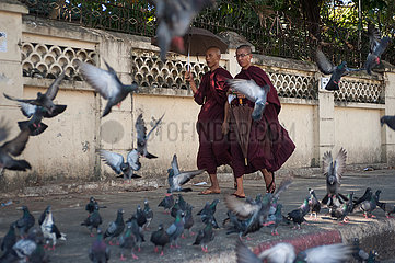 Yangon  Myanmar  Strassenszene mit zwei buddhistischen Moenchen und einem Schwarm Tauben