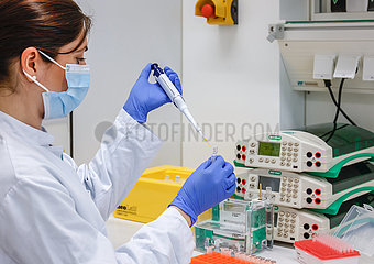 Forschung  Immunologie und Infektologie  Biomedizinischen Zentrum II  Universitaetsklinikum Bonn  Nordrhein-Westfalen  Deutschland  Europa