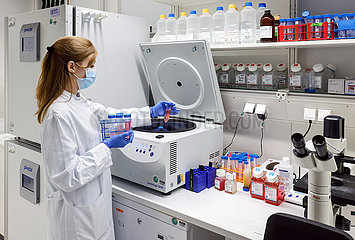 Forschung  Immunologie und Infektologie  Biomedizinischen Zentrum II  Universitaetsklinikum Bonn  Nordrhein-Westfalen  Deutschland  Europa