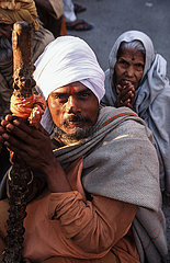 Haridwar  Indien  Zwei Pilger beten waehrend des heiligen Kumbh Mela Festes