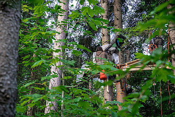 Räumung der Baumbesetzung im Forst Kasten