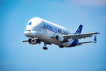 Beluga im Anflug auf das Airbus Werk in Finkenwerder