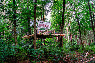 Erneute Waldbesetzung im Forst Kasten