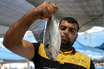 MIDEAST-GAZA-FISH FARM-LOSS