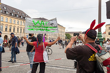 Querdenken Aktivist*innen wollen Landtag auflösen