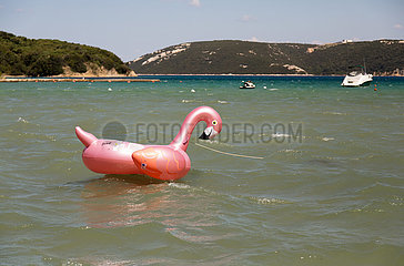 Kroatien  Supetarska Draga (Insel Rab) - aufblasbarer pinker Gummischwan treibt auf dem Wasser