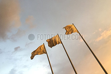 Golden Flags