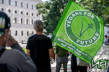 Fridaysforfuture Demonstration in München