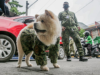 PHILIPPINES-MANILA-POLICE-DOG-FABIO