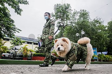 PHILIPPINES-MANILA-POLICE-DOG-FABIO