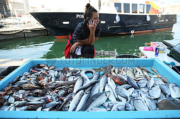 Frankreich-Marseille-Alter Hafenfischmarkt