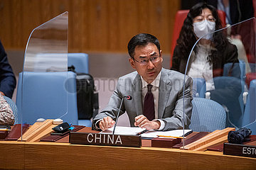 UN-Sicherheitsrat - China-Envoy-Haiti-politischer Übergang