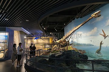 China-Yunnan-Chengjiang-Fossil-Museum (CN)