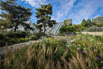 Blumenbeet vor Gewaechshaus  Botanischer Garten  Ruhr-Universitaet Bochum  Nordrhein-Westfalen  Deutschland