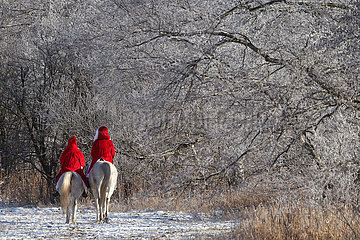 Bruchmuehle  Deutschland  Weihnachtsmaenner reiten auf ihren Pferden durch die Natur