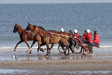 Deauville  Trabrennpferde bei der Morgenarbeit am Strand