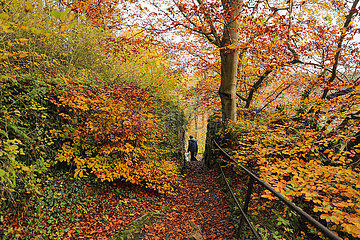 Belgien-Wallon-Region-Herbstlandschaft