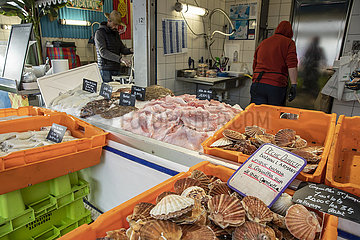 Frankreich-Großbritannien-Fischerei-Streit