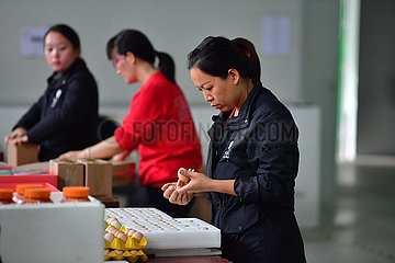 China-Guangxi-Rongshui-landwirtschaftliche Produkte (CN)