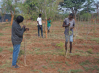 Sambia-Lusaka-Social Enterprise-junge Menschen-Baumpflanzung
