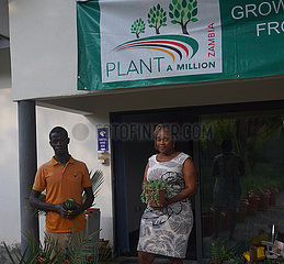 Sambia-Lusaka-Social Enterprise-junge Menschen-Baumpflanzung