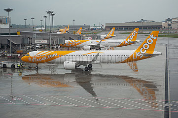 Singapur  Republik Singapur  Passagierflugzeuge der Scoot Airlines parken am Gate auf dem Flughafen Changi