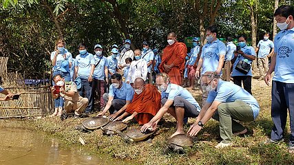 Kambodscha-Preah Sihanouk-Royal Turtle-Conservation