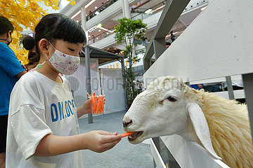 Thailand-Bangkok-Animal Fest