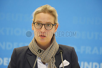 Pressekonferenz AfD-Bundestagsfraktion  Fraktionsebene  Dt. Bundestag