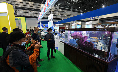 China-Hainan-Tropical Agricultural Products-Messe (CN)
