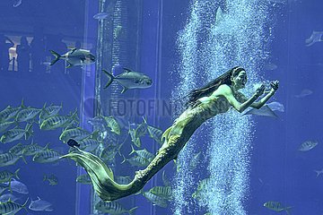 China-Hainan-Sanya-Mermaid-Wettbewerb (CN)