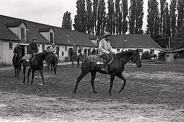 Bremen  Pferde und Reiter kreisen bei der Morgenarbeit vor den Stallungen