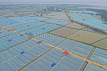 China-Guangxi-ländliche Industrien (CN)