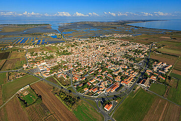 France. Charente-Martime (17) Ile de Ré island. Aerial view of Ars-en-Re village