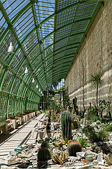 Frankreich  Herault (34)  Glashaus  Botanischer Garten