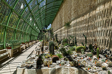 Frankreich  Herault (34)  Glashaus  Botanischer Garten