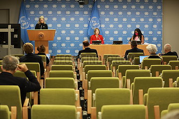 Un-Norway-Security Council-Pressekonferenz