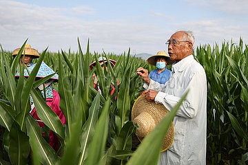 China-Hainan-Haikou-Agronomist-Cheng Xiangwen (CN)