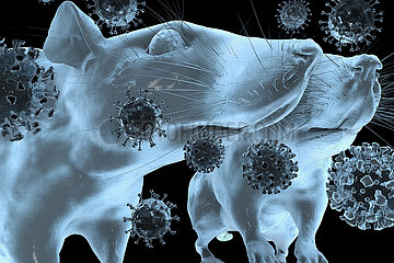 CGI-Visualisierung: Coronavirus  Mutationen Delta Omicron