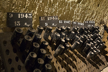 Frankreich  Marne (51)  Reims  Vranken Pommery Champagne Haus  Galerien eines alten unterirdischen Kreidekellers und jetzt als Champagnerweinkeller  Lagerung alter Jahrgänge verwendet