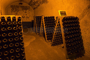 Frankreich  Marne (51)  Reims  Vranken Pommery Champagne Haus  Galerien eines alten unterirdischen Kreidekellers und jetzt als Champagnerweinkeller verwendet
