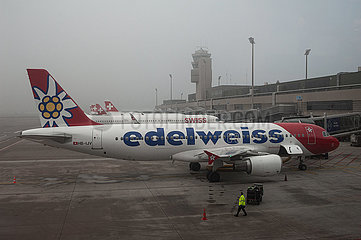 Zuerich  Schweiz  A320 Passagierflugzeug der Edelweiss Air parkt an einem Flugsteig auf dem Flughafen Zuerich