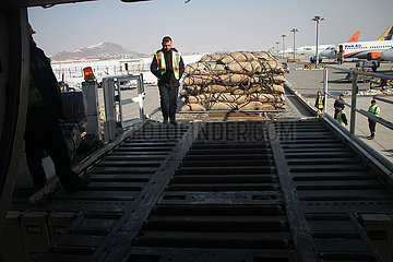 Afghanistan-Kabul-Pine-Nüsse-China-Cargo-Flug