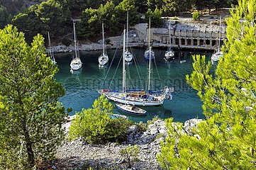 FRANCE - PROVENCE - CASSIS