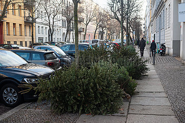 Berlin  Deutschland  Ausgedienete Weihnachtsbaeume liegen am Strassenrand zur Abhloung bereit